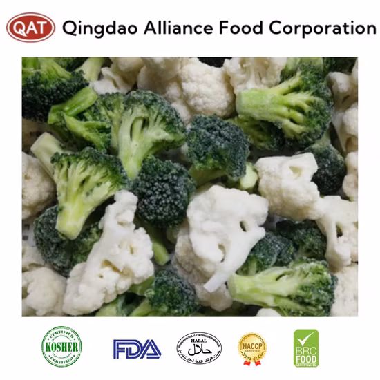 Maçã de Gala Real Doce Chinesa Fresca FUJI e Maçã Estrela Vermelha e Outras Frutas Frescas Legumes