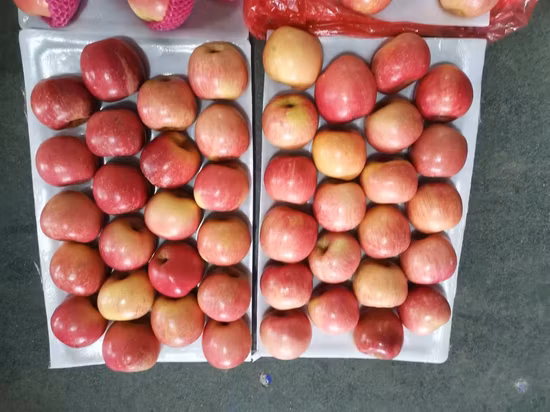 Maçã Natural Frutas Vermelhas Frescas FUJI Maçãs Frescas em Massa Frutas da China