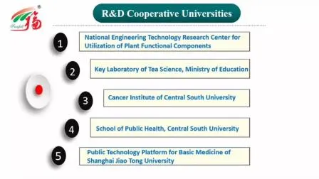 CAS 501-36-0 Ingredientes Cosméticos Naturais Resveratrol Antienvelhecimento Polygonum Cuspidatum